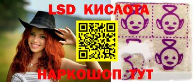 шишки Славгород