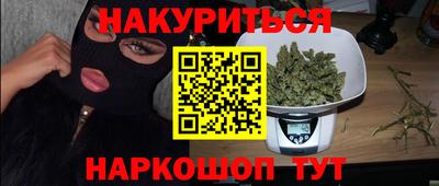 шишки Славгород