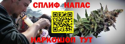 шишки Славгород