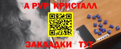 шишки Славгород